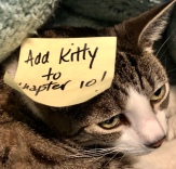 Cat Post-It